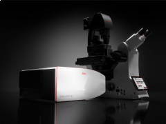 共聚焦显微镜平台 STELLARIS 5 & STELLARIS 8