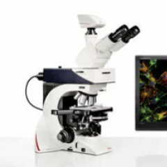 徕卡DM2500正置显微镜 Leica DM2500 & DM2500 LED 荧光显微镜