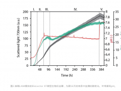 如何优化和监测微藻细胞培养